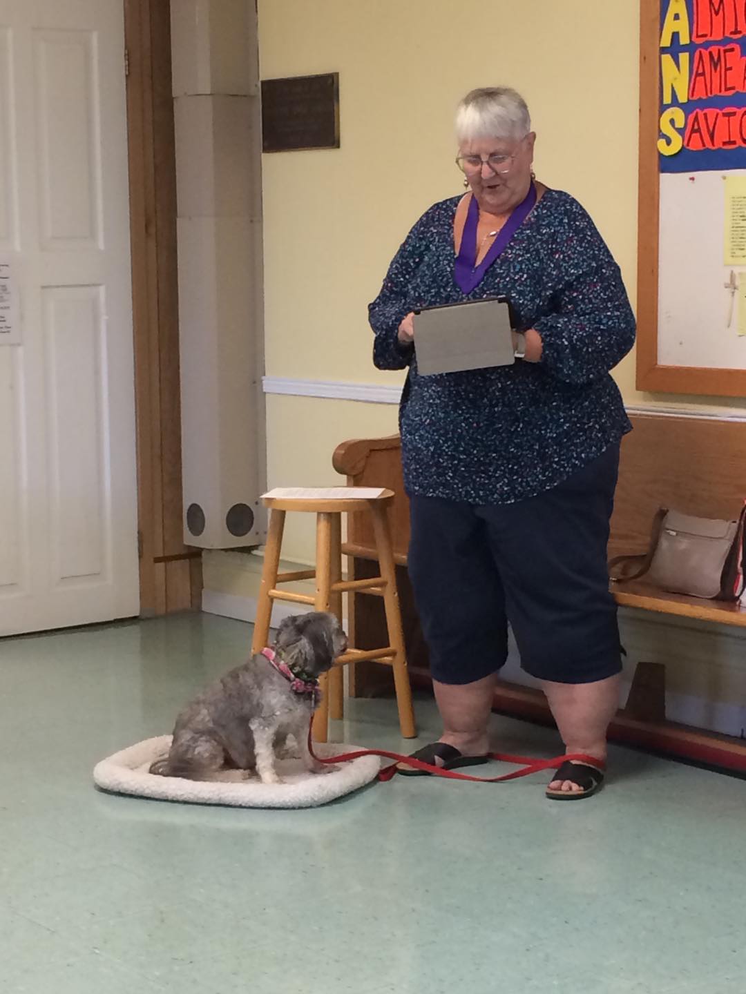 On August 25, 2024, our popular Cafe Church service was held downstairs at St. Luke's in Hubbards. Clair MacInnis led the service and was assisted by Jackie Snair. The theme of today's service was Bread and we were also treated to some home-made bread made by Clair. Today's garden bouquet included hydrangea, different coloured lisianthus, red zinnias, peach shrub roses, white and pink cosmos and two-tone pink gladiolus.